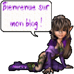 Bienvenue!!!